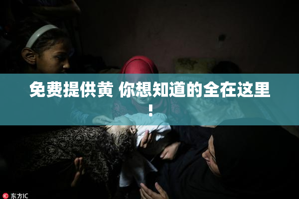 免费提供黄 你想知道的全在这里!