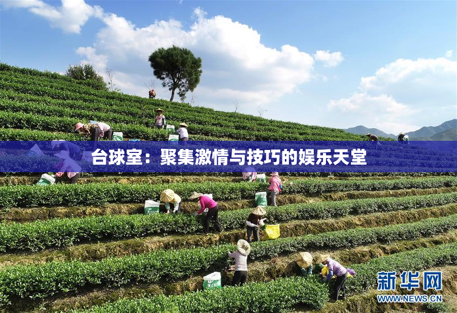 台球室：聚集激情与技巧的娱乐天堂