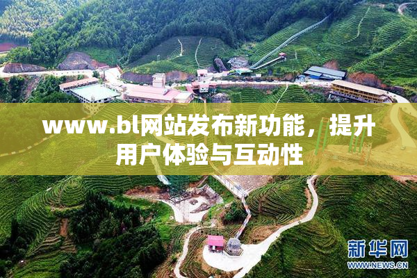 www.bl网站发布新功能，提升用户体验与互动性