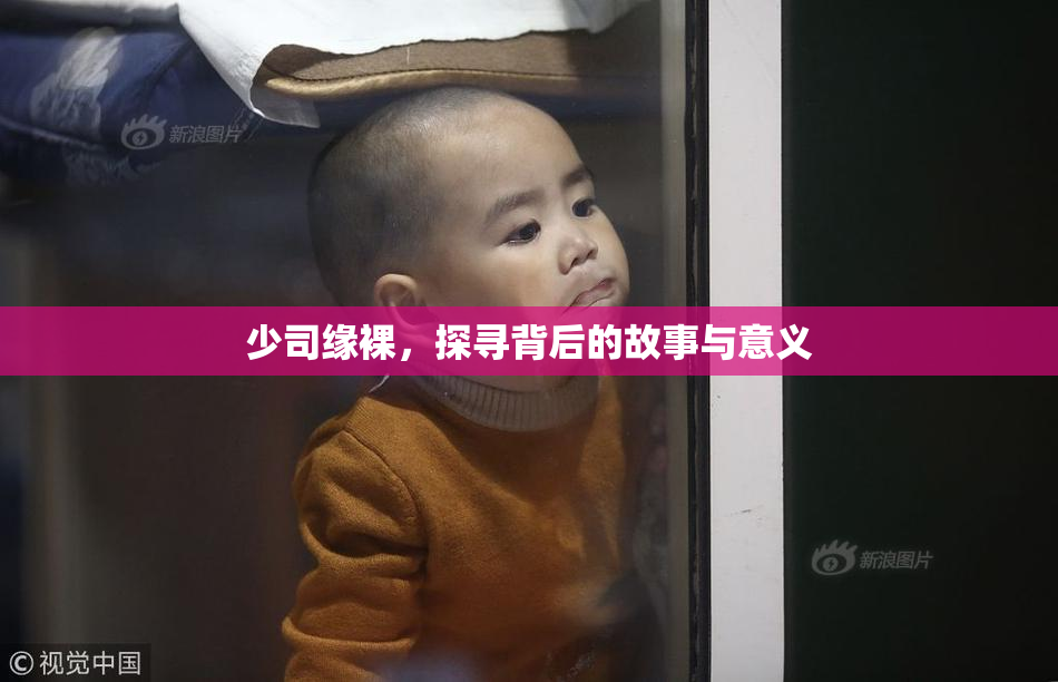 少司缘裸，探寻背后的故事与意义