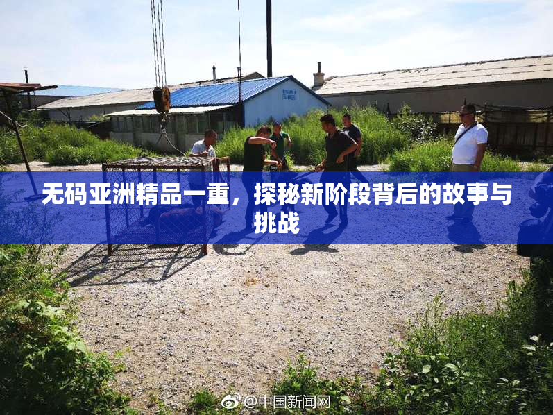 无码亚洲精品一重，探秘新阶段背后的故事与挑战