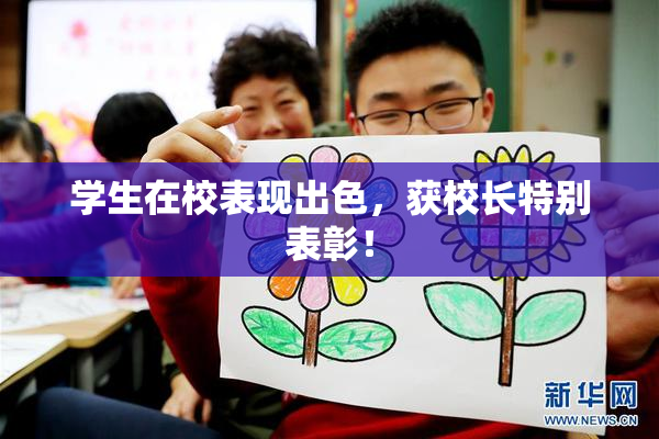 学生在校表现出色，获校长特别表彰！