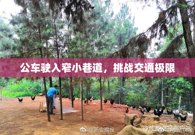 公车驶入窄小巷道，挑战交通极限