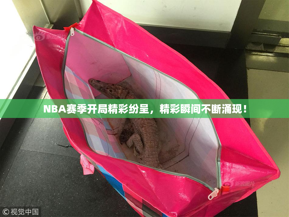 NBA赛季开局精彩纷呈，精彩瞬间不断涌现！