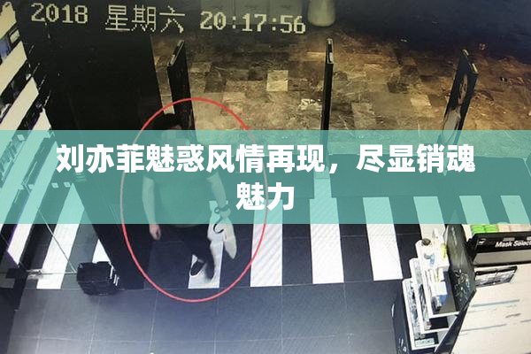 刘亦菲魅惑风情再现，尽显销魂魅力