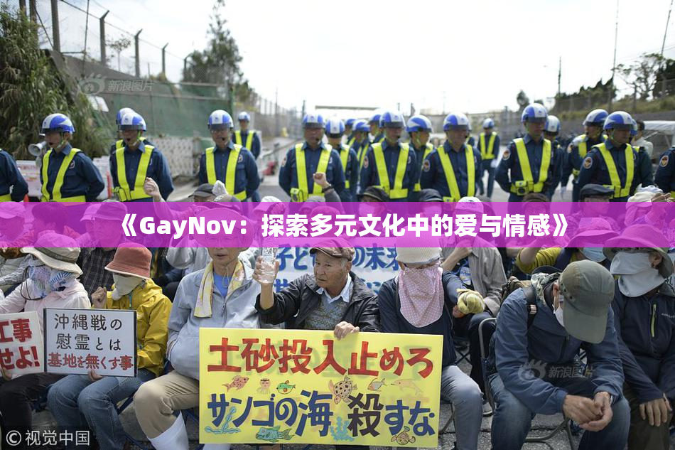 《GayNov：探索多元文化中的爱与情感》