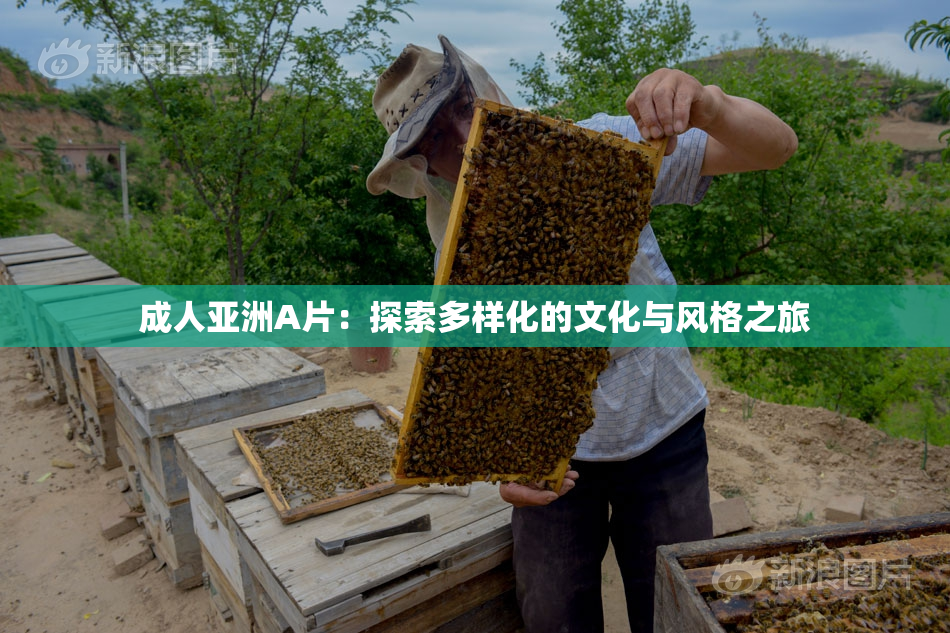 成人亚洲A片：探索多样化的文化与风格之旅