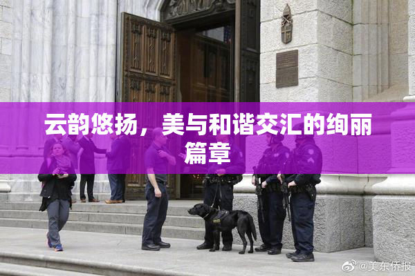 云韵悠扬，美与和谐交汇的绚丽篇章