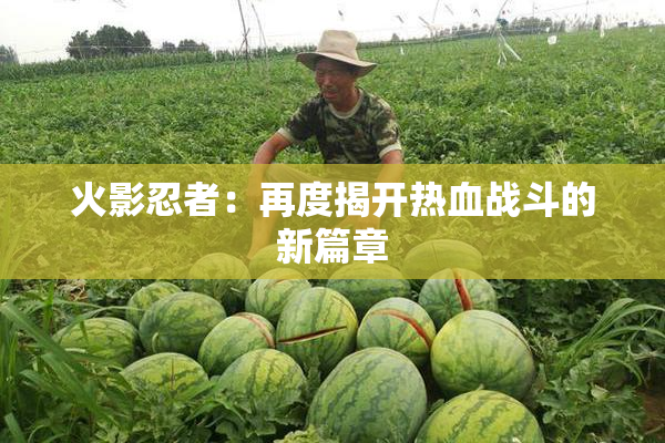 火影忍者：再度揭开热血战斗的新篇章