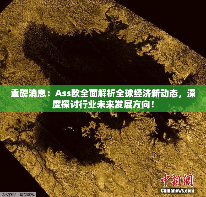 重磅消息：Ass欧全面解析全球经济新动态，深度探讨行业未来发展方向！