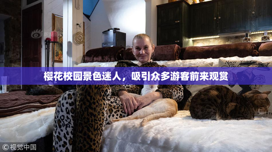 樱花校园景色迷人，吸引众多游客前来观赏
