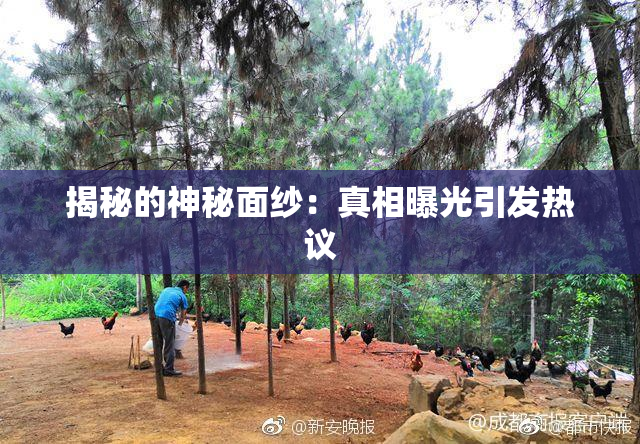 揭秘的神秘面纱：真相曝光引发热议