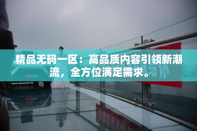 精品无码一区：高品质内容引领新潮流，全方位满足需求。