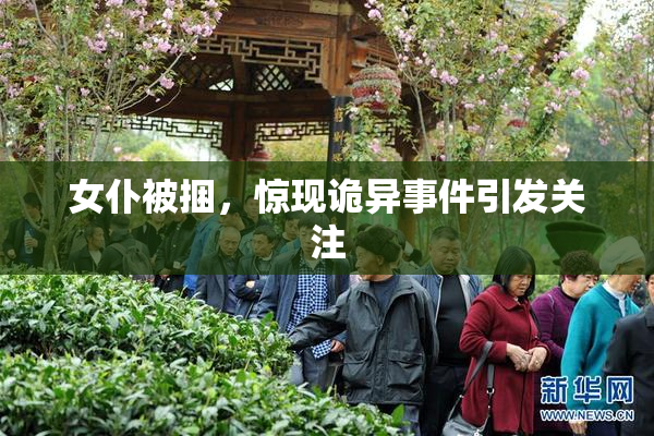 女仆被捆，惊现诡异事件引发关注