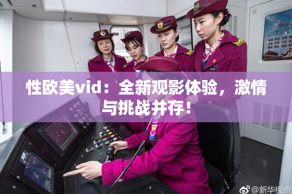 性欧美vid：全新观影体验，激情与挑战并存！