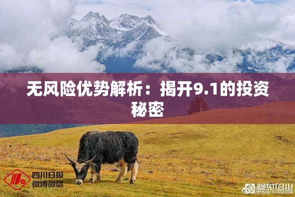 无风险优势解析：揭开9.1的投资秘密