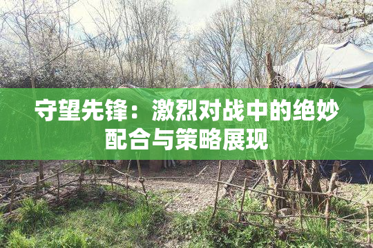 守望先锋：激烈对战中的绝妙配合与策略展现