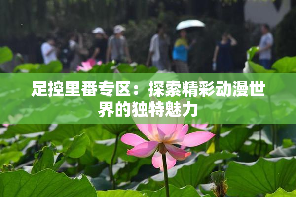 足控里番专区：探索精彩动漫世界的独特魅力