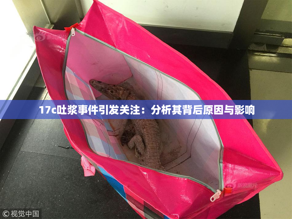 17c吐浆事件引发关注：分析其背后原因与影响