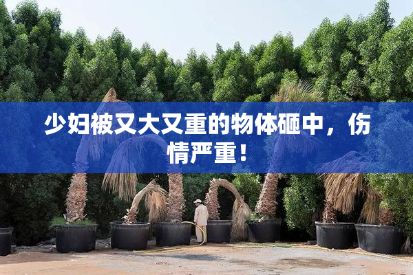 少妇被又大又重的物体砸中，伤情严重！
