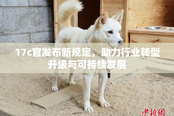 17c官发布新规定，助力行业转型升级与可持续发展