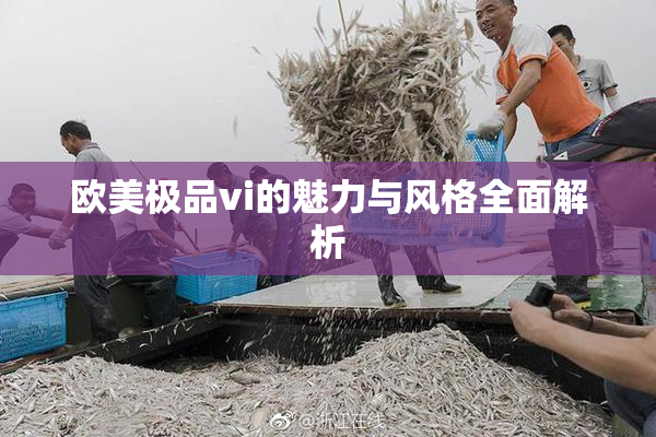 欧美极品vi的魅力与风格全面解析