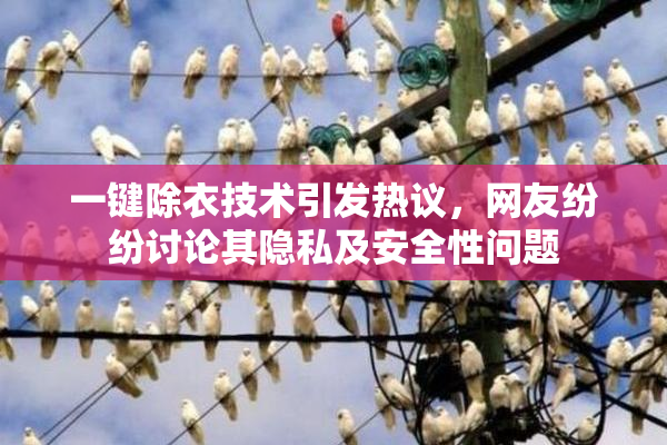 一键除衣技术引发热议，网友纷纷讨论其隐私及安全性问题