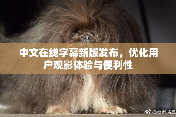 中文在线字幕新版发布，优化用户观影体验与便利性