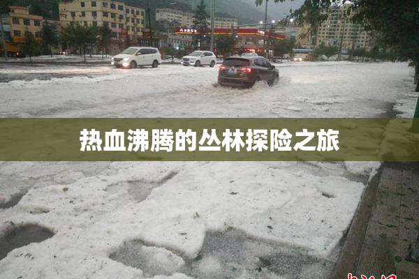 热血沸腾的丛林探险之旅
