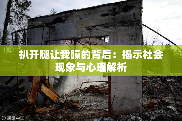 扒开腿让我躁的背后：揭示社会现象与心理解析