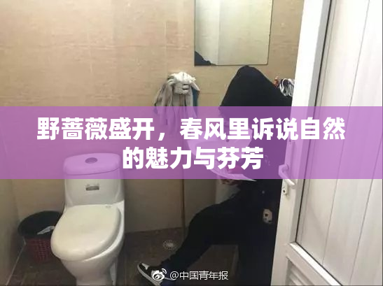 野蔷薇盛开，春风里诉说自然的魅力与芬芳