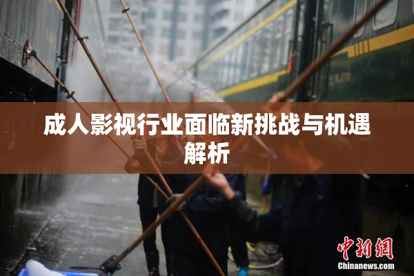 成人影视行业面临新挑战与机遇解析
