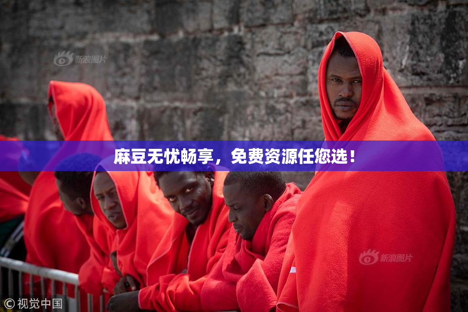 麻豆无忧畅享，免费资源任您选！