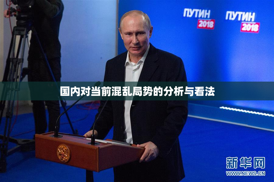 国内对当前混乱局势的分析与看法