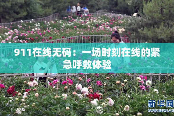 911在线无码：一场时刻在线的紧急呼救体验