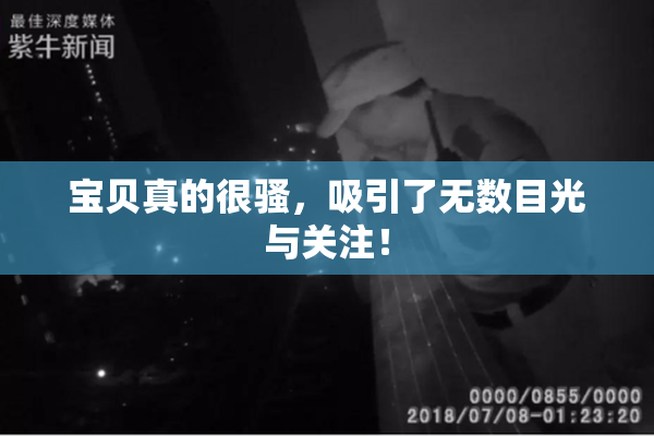 宝贝真的很骚，吸引了无数目光与关注！