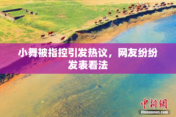 小舞被指控引发热议，网友纷纷发表看法