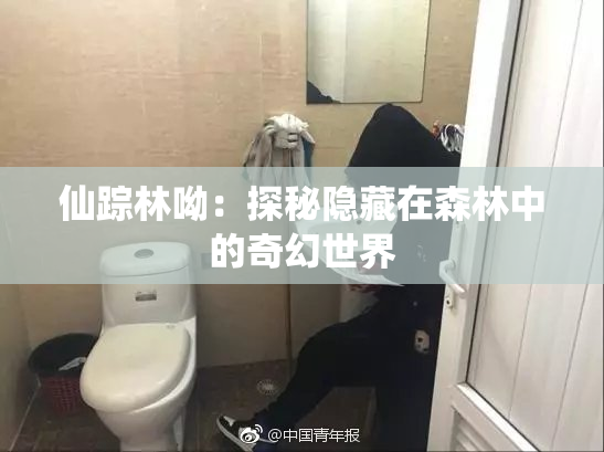 仙踪林呦：探秘隐藏在森林中的奇幻世界