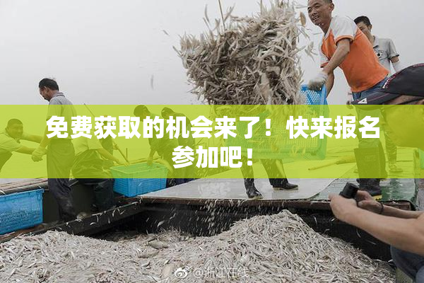 免费获取的机会来了！快来报名参加吧！