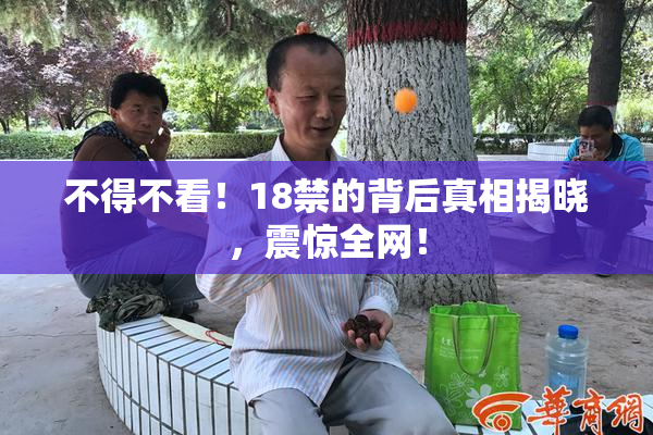 不得不看！18禁的背后真相揭晓，震惊全网！