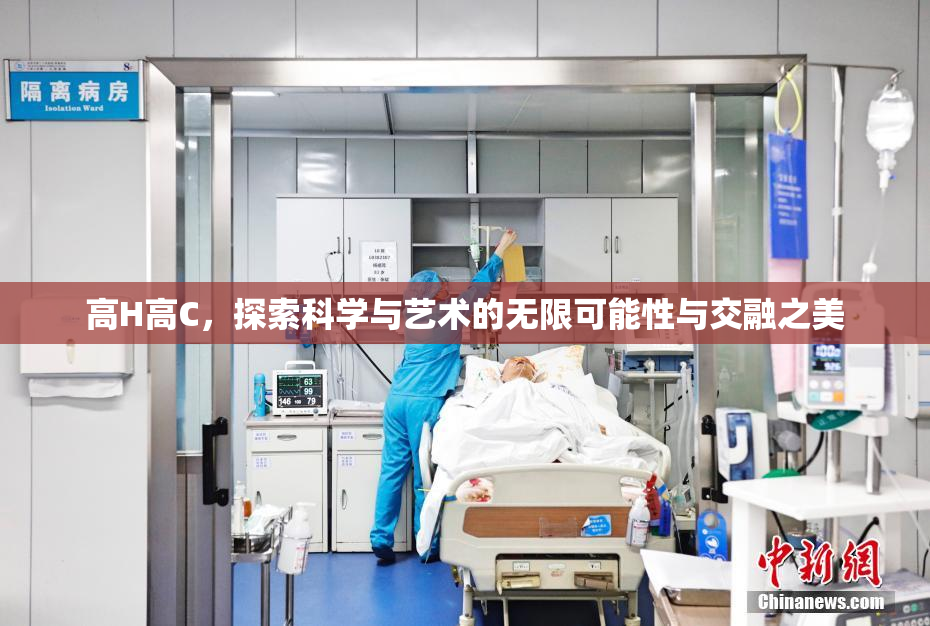 高H高C，探索科学与艺术的无限可能性与交融之美