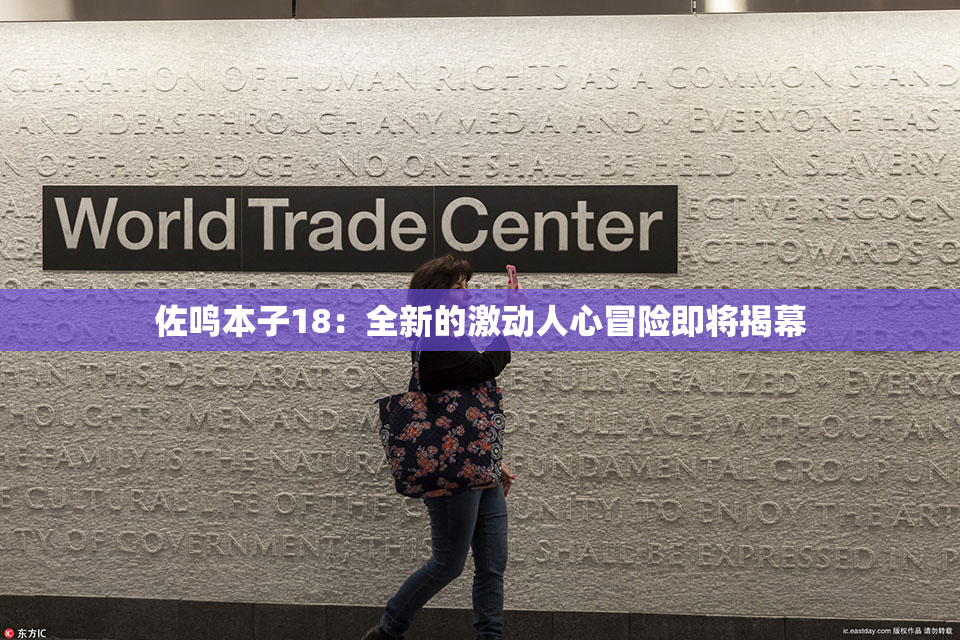佐鸣本子18：全新的激动人心冒险即将揭幕