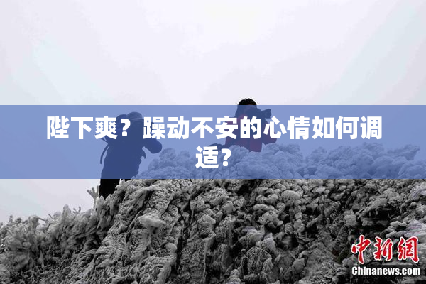 陛下爽？躁动不安的心情如何调适？