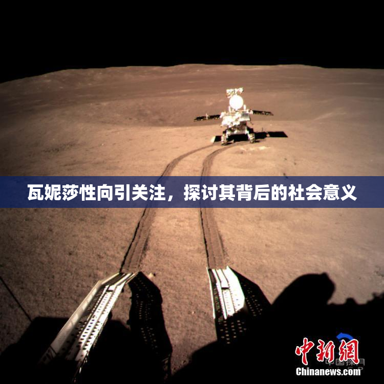 瓦妮莎性向引关注，探讨其背后的社会意义