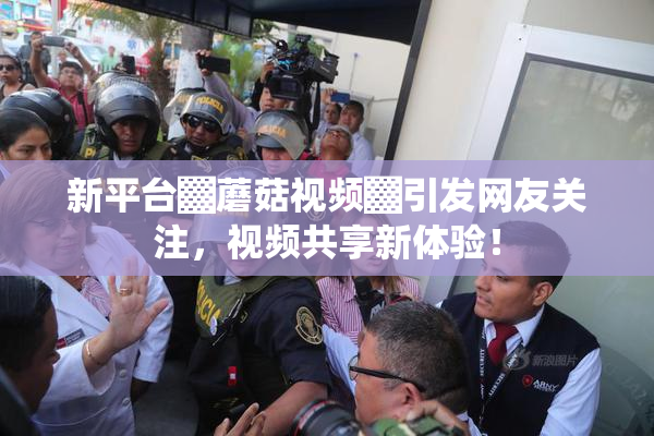 新平台▓蘑菇视频▓引发网友关注，视频共享新体验！