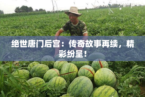 绝世唐门后宫：传奇故事再续，精彩纷呈！