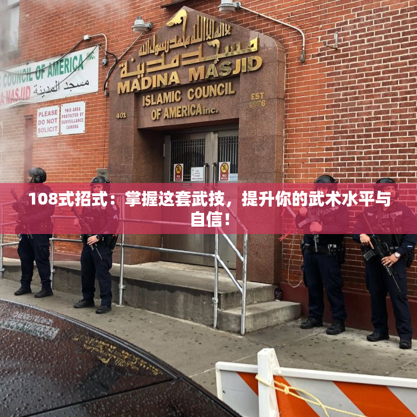 108式招式：掌握这套武技，提升你的武术水平与自信！