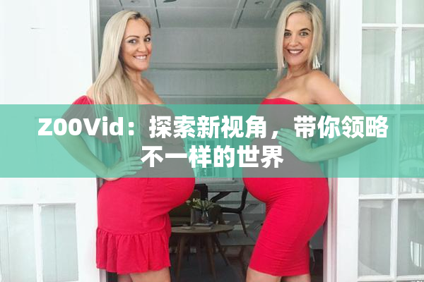 Z00Vid：探索新视角，带你领略不一样的世界