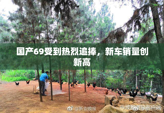 国产69受到热烈追捧，新车销量创新高