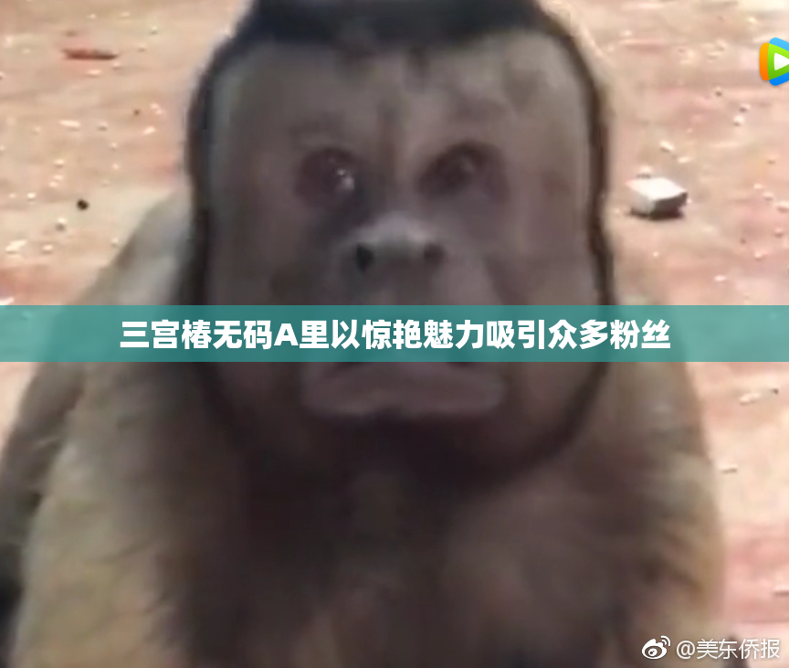 三宫椿无码A里以惊艳魅力吸引众多粉丝